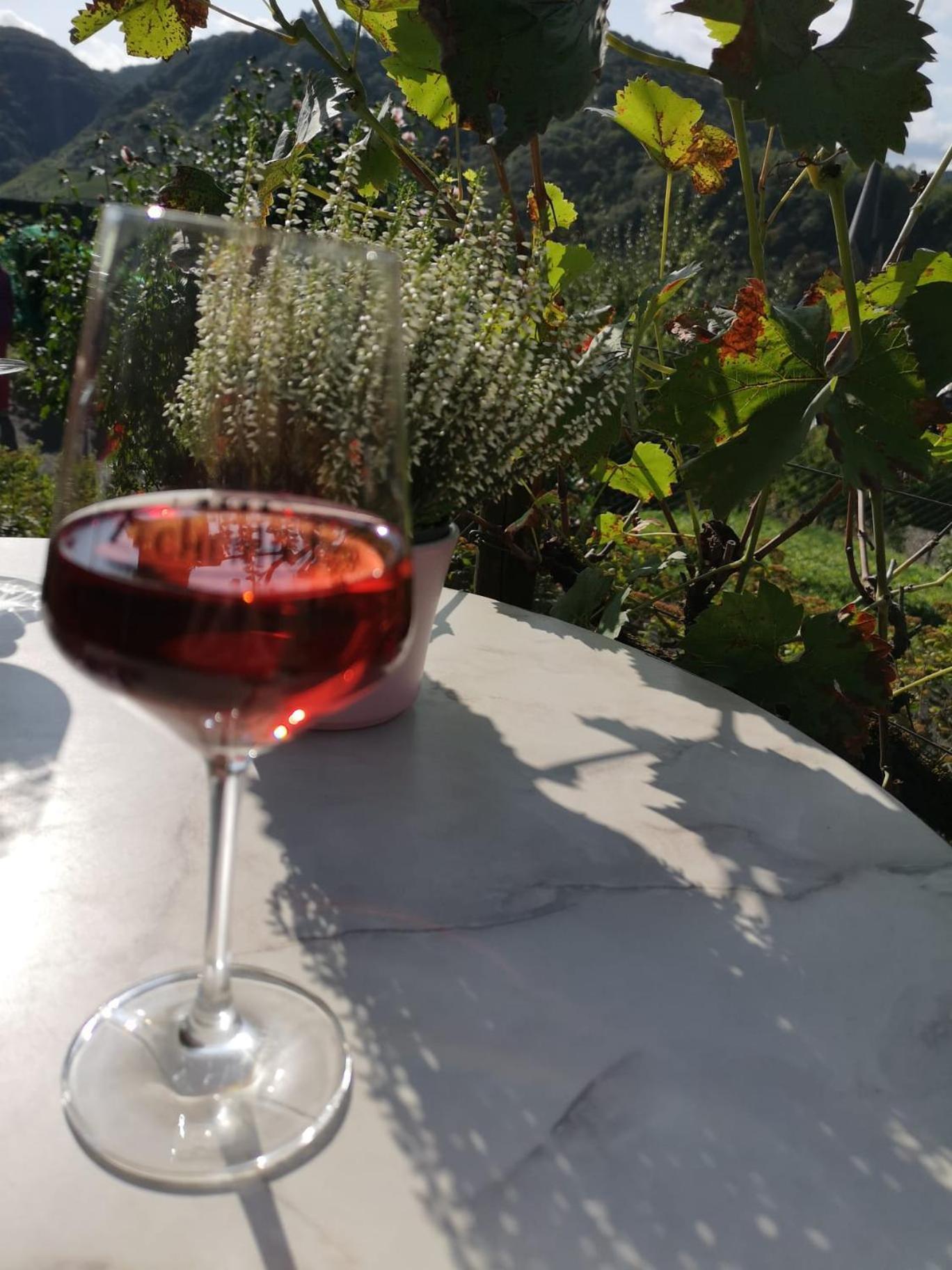 Gaestehaus Eulenkoepfchen Neef 外观 照片